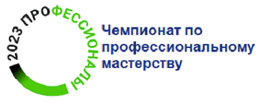 Чемпионат по профессиональному мастерству